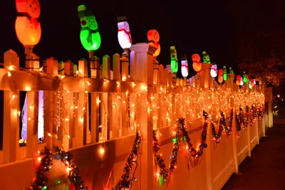 DSC_5770 (Large).JPG